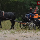 Fotka nr 2 z 6